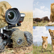 Image for article titled Incredible Lion Photos Taken with Camouflaged RC Camera Car, and More from TreeHugger
